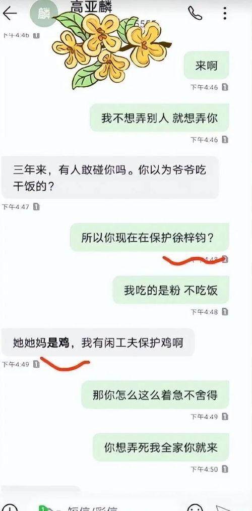 吃瓜炸裂聊天記錄視頻,揭秘視頻背后的驚人真相