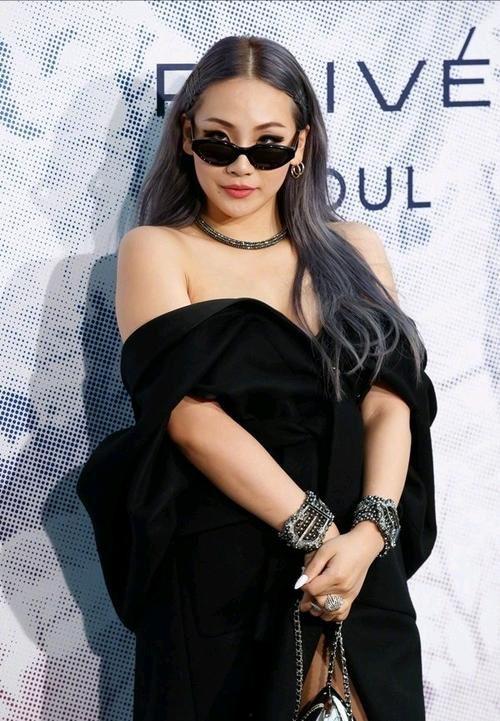 明星黑料社,明星黑料社獨家爆料，真相與謠言的較量