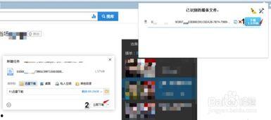 黑料網(wǎng)永久免費網(wǎng)站直接進入網(wǎng)頁,暢游網(wǎng)絡(luò)世界的秘密通道