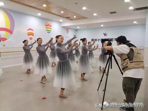 獨家爆料藝術學校極品舞蹈生,揭秘藝術學校極品舞蹈生的傳奇故事