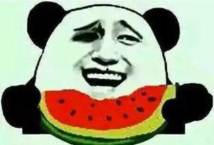 吃瓜有理報(bào)料無罪,揭秘網(wǎng)絡(luò)輿論背后的真相