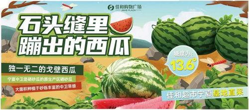 熱門大瓜每日大賽,揭秘娛樂圈最新爆料，大賽精彩瞬間回顧