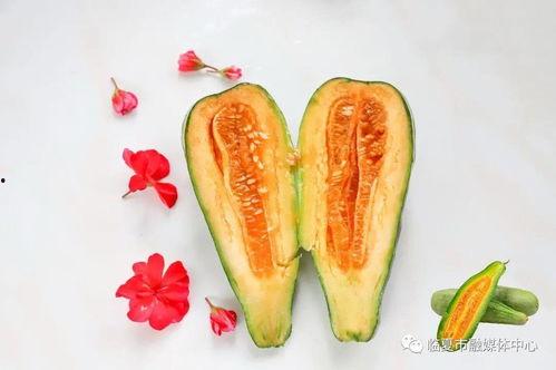 懷仁最近網紅大瓜,揭秘背后驚人真相