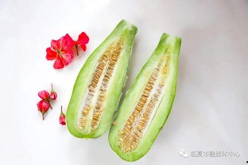 懷仁最近網紅大瓜,揭秘背后驚人真相