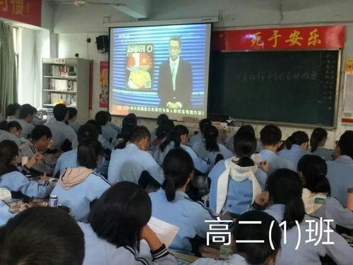 社會熱點事件素材,XX事件背后的深思與啟示