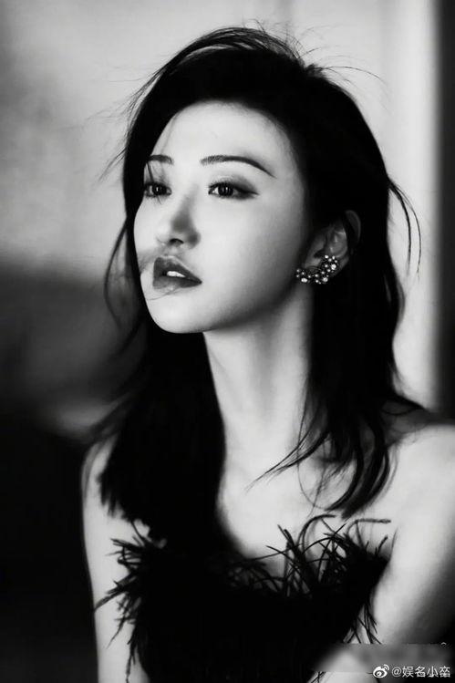 明星黑料最新,明星黑料曝光，真相背后引人深思