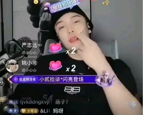 網紅黑料是什么意思,網絡輿論背后的真相與反思