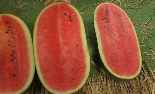 熱門大瓜每日必吃大瓜 網(wǎng)紅大瓜搜索,熱門事件盤點(diǎn)，揭秘娛樂圈幕后真相