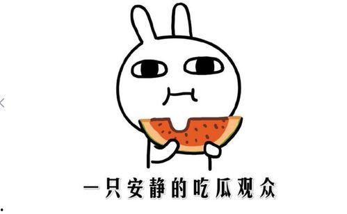 吃瓜是什么意思,網(wǎng)絡(luò)熱詞背后的文化現(xiàn)象