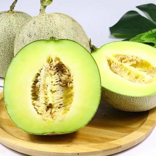 網(wǎng)紅熱瓜,揭秘網(wǎng)絡(luò)紅人的崛起與爭議