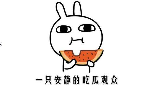 吃瓜是什么意思,網(wǎng)絡(luò)熱詞背后的文化現(xiàn)象