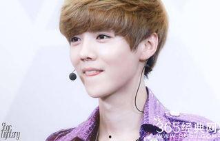 明星排行榜,璀璨星光閃耀娛樂圈