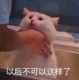 朝陽吃瓜群眾一枚